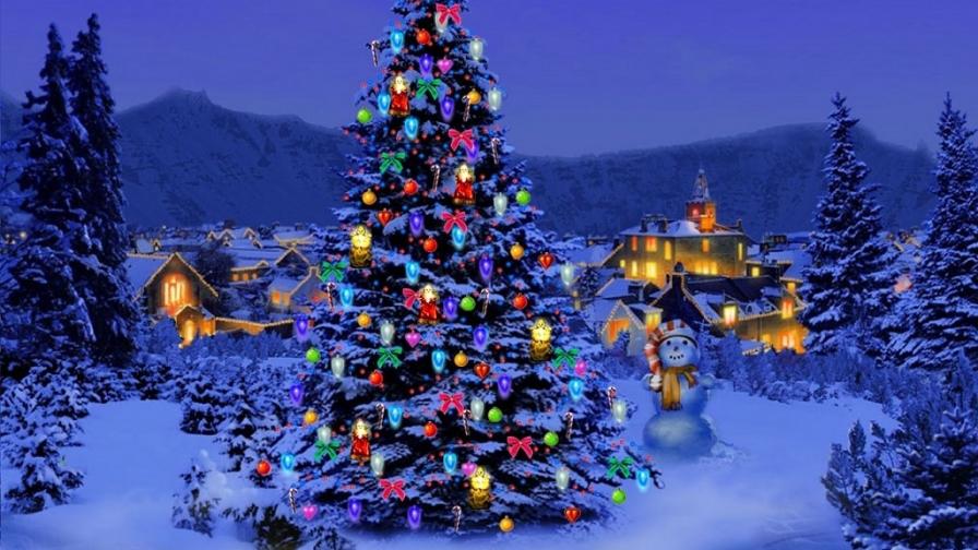 Christmas-Tree-Nature_lg.jpeg